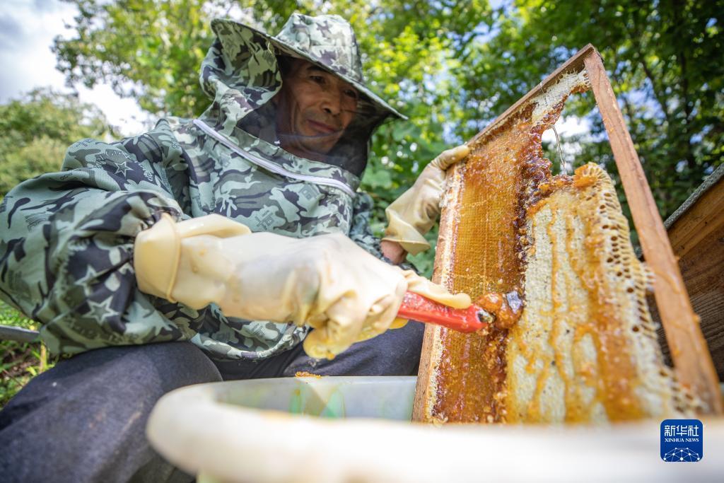 美高梅登录中心